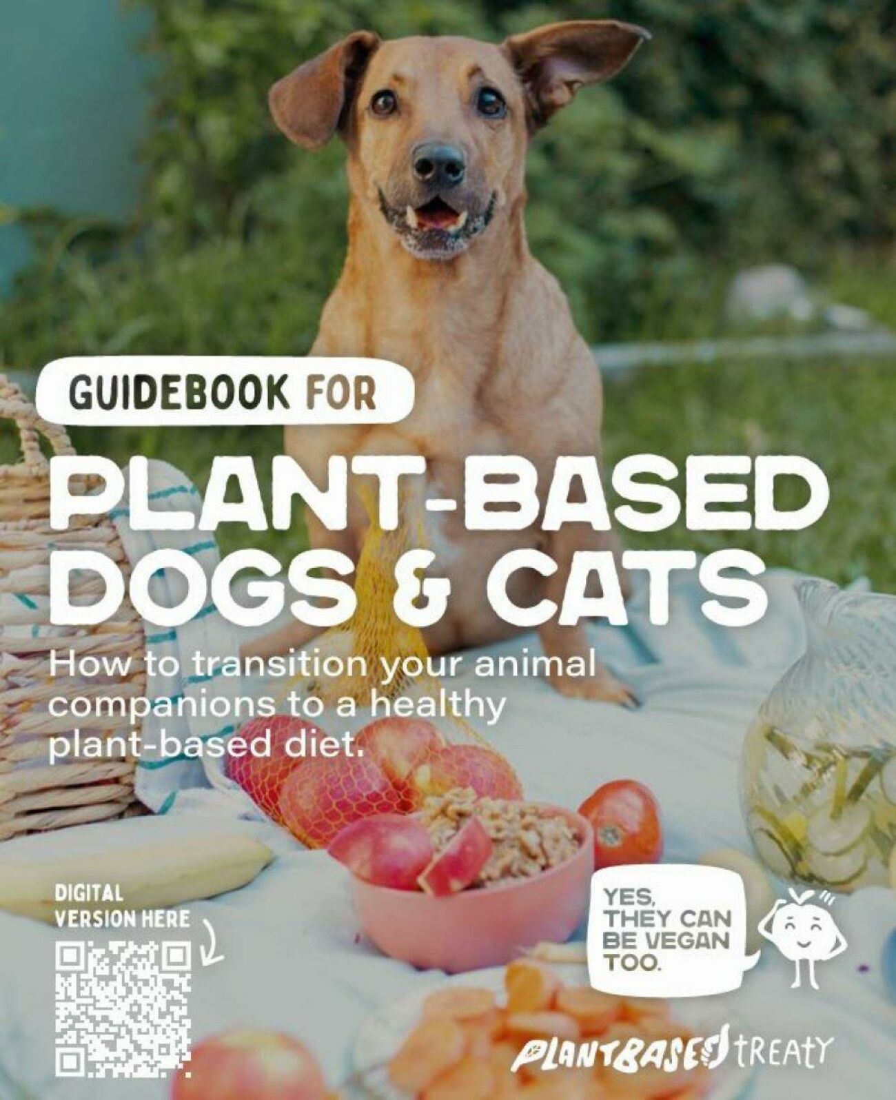 Imagem principal Alimentação Vegana para Cães e Gatos: Guia Prático e Consciente