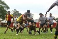 Imagem principal do artigo Federação Paulista de Rugby divulga tabela da 1ª divisão da categoria Masculina de XV