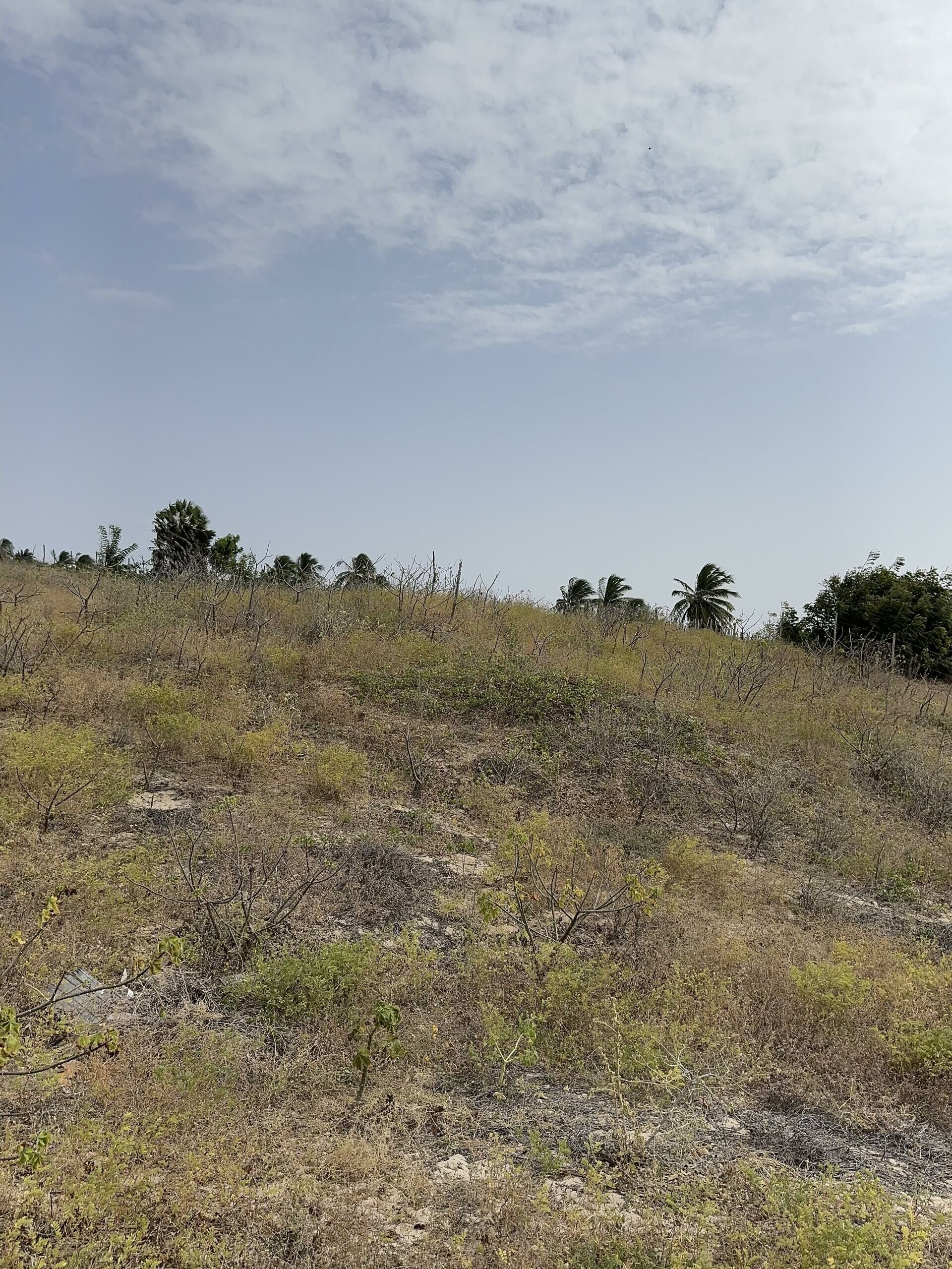 Imagen de terreno cerca del centro de Pontal do Maceió