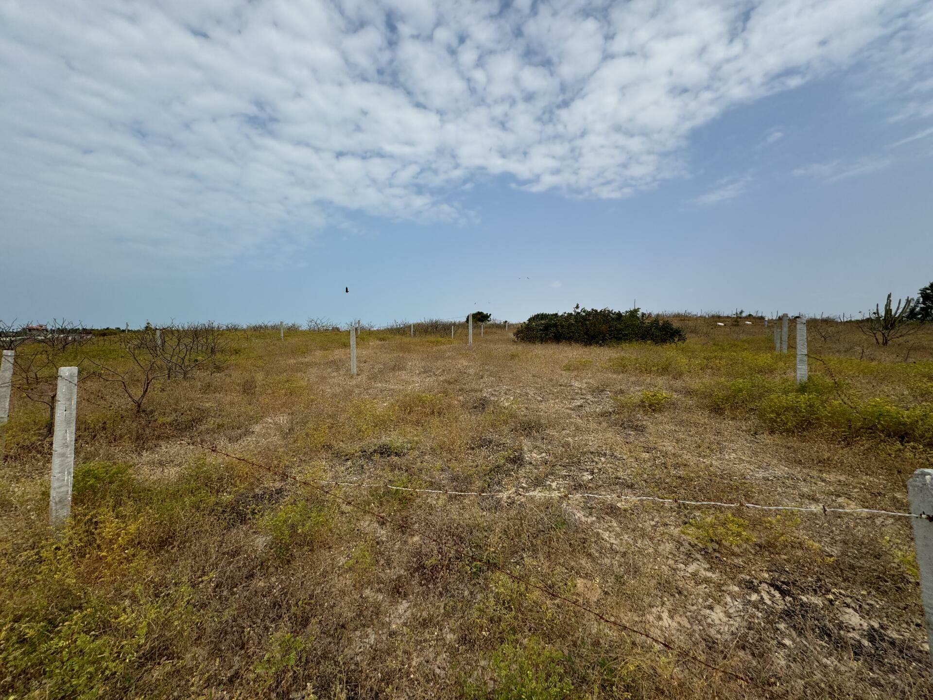 Imagen de terreno cerca del centro de Pontal do Maceió