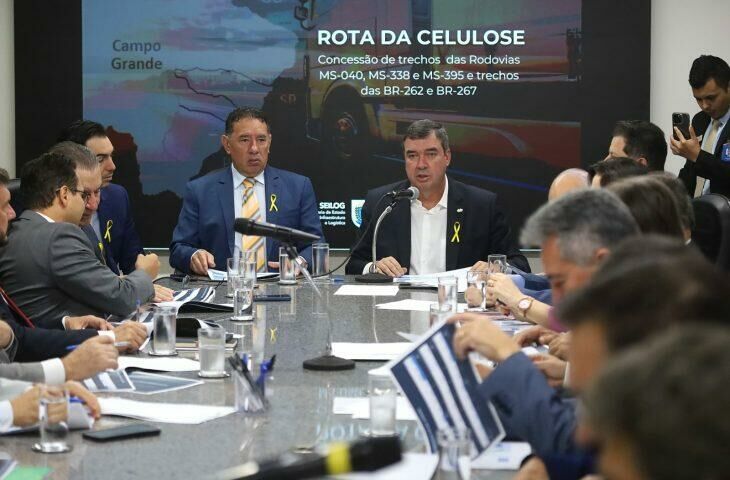 Imagem de compartilhamento para o artigo Riedel esclarece dúvidas e apresenta aos deputados vantagens sobre Rota da Celulose da MS Todo dia