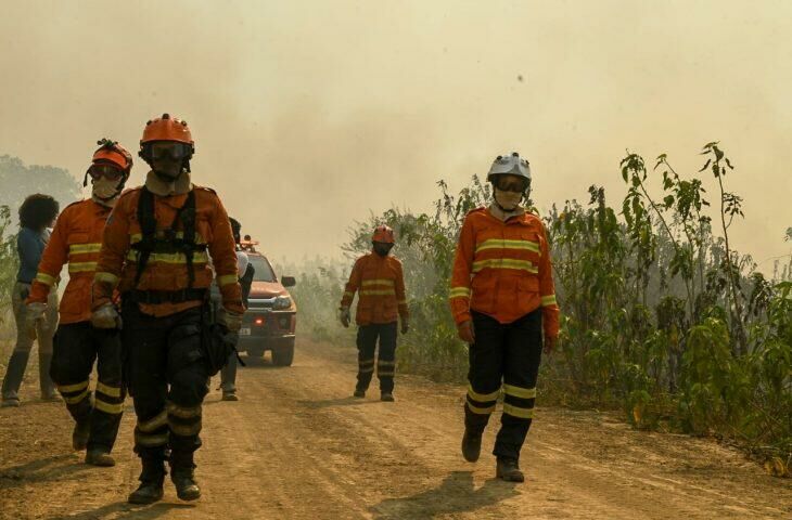 Imagem de compartilhamento para o artigo Após alívio, equipes seguem ativas para combater incêndios em nova onda de calor e tempo seco no Pantanal da MS Todo dia