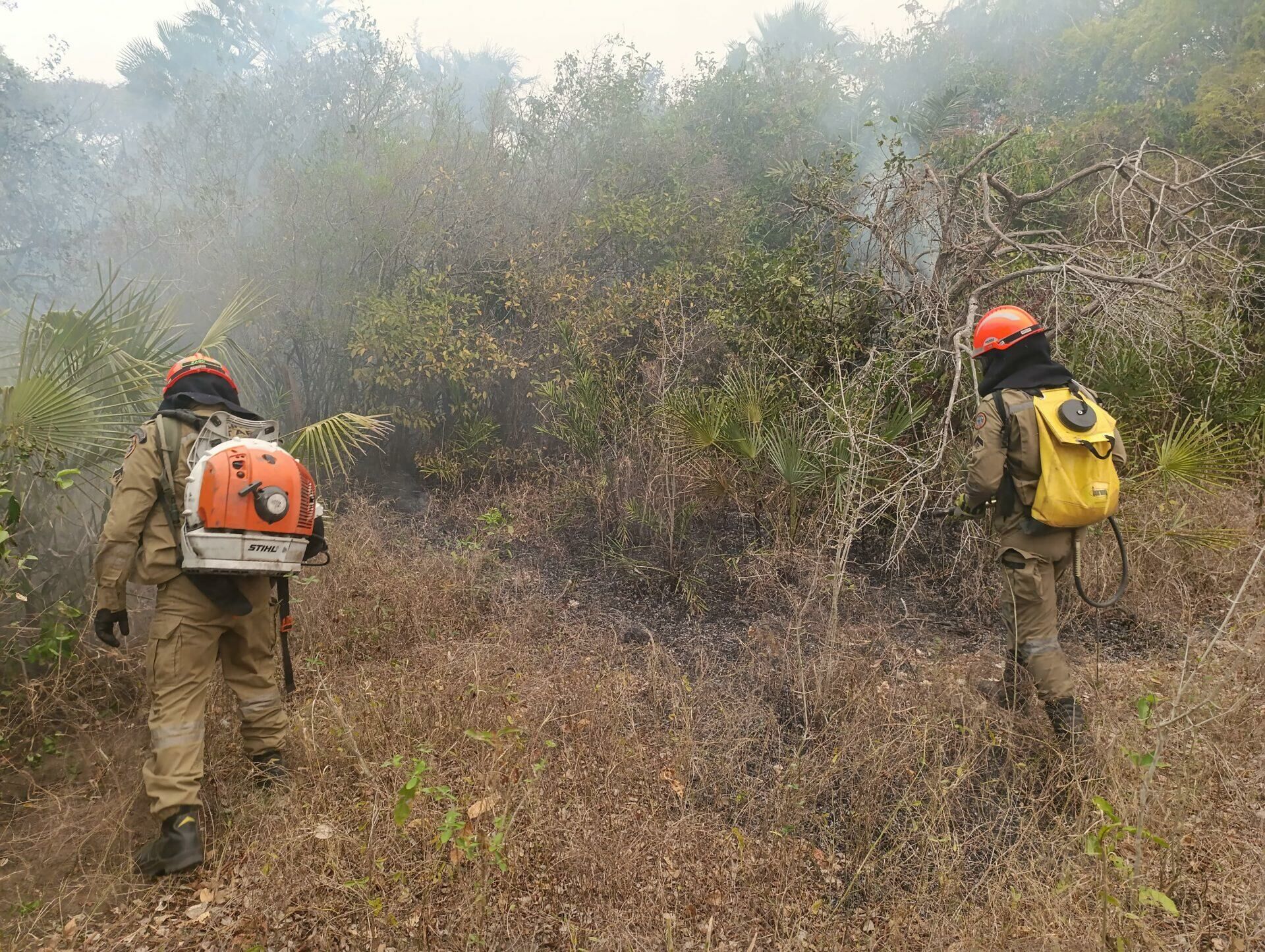 Imagem de compartilhamento para o artigo Incêndios florestais se intensificam em biomas de MS e combate continua em Costa Rica da MS Todo dia