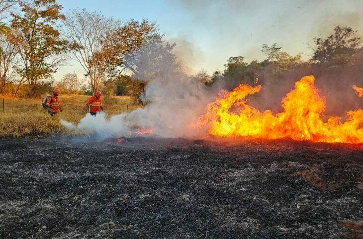 Imagem de compartilhamento para o artigo Bombeiros combatem incêndios florestais no Pantanal há 198 dias da MS Todo dia