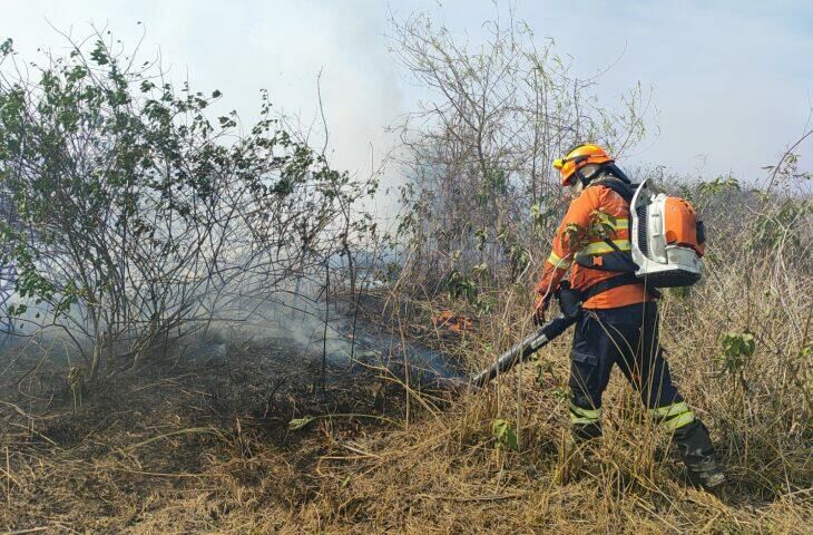 Imagem de compartilhamento para o artigo Com umidade em 10%, Pantanal tem focos ativos em diferentes regiões da MS Todo dia