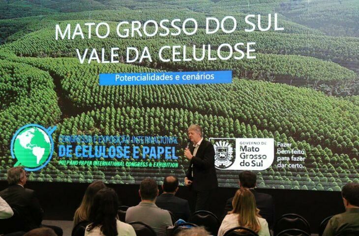 Imagem de compartilhamento para o artigo Área de florestas plantada em MS é a segunda maior e a que mais cresce no país da MS Todo dia