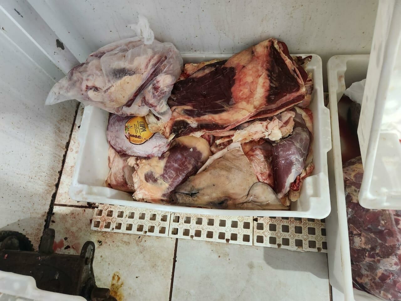 Imagem de compartilhamento para o artigo Comerciante é preso em flagrante por venda clandestina de alimentos em Camapuã da MS Todo dia