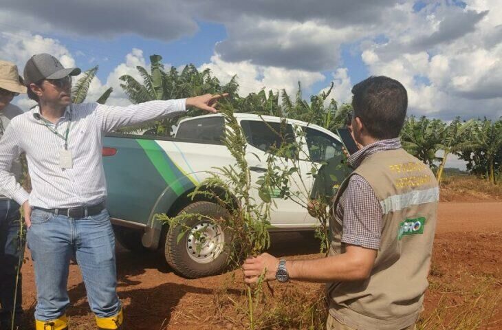 Imagem de compartilhamento para o artigo Governo publica abertura de concurso da Iagro com 29 vagas para médico veterinário da MS Todo dia