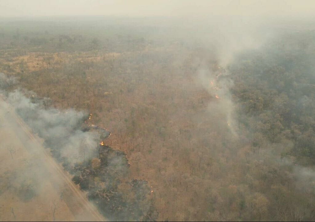 Imagem de compartilhamento para o artigo Governo do Estado monitora incêndio no Parque Estadual das Nascentes do Rio Taquari, em Costa Rica da MS Todo dia