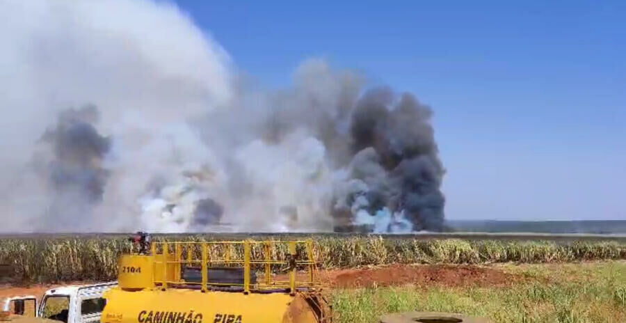 Imagem de compartilhamento para o artigo Incêndios causaram prejuízo de R$ 1,2 bilhão ao agronegócio e devastam mais de 500 propriedades em MS da MS Todo dia