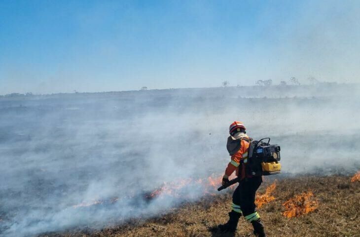 Imagem de compartilhamento para o artigo Incêndios deste ano já devastaram 15% do Pantanal, alerta monitoramento da MS Todo dia