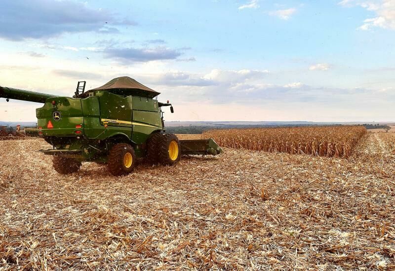 Imagem de compartilhamento para o artigo Plantio do milho safrinha atinge 92,6% da área em MS, mas enfrenta risco de estiagem da MS Todo dia