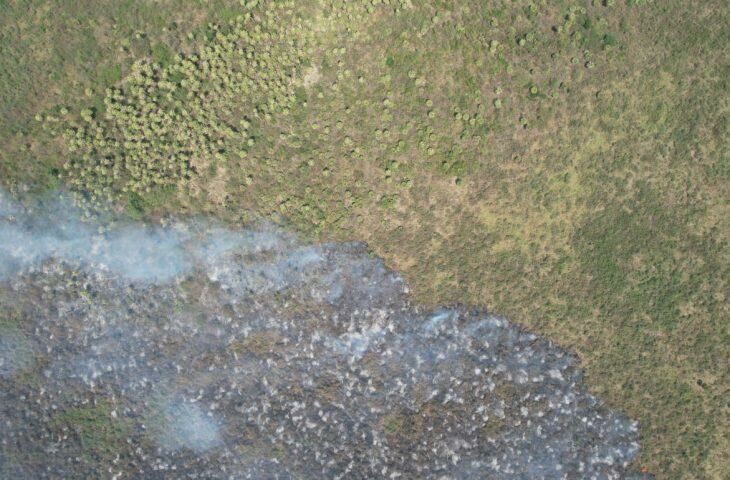 Imagem de compartilhamento para o artigo Bombeiros controlam incêndio no Pantanal e monitoram área no Paiaguás da MS Todo dia