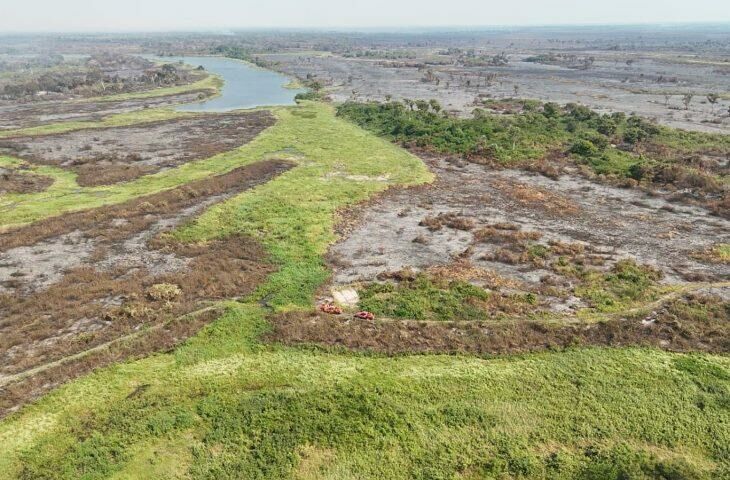 Imagem de compartilhamento para o artigo Proprietários rurais do Pantanal terão crédito especial para recuperação após incêndios da MS Todo dia