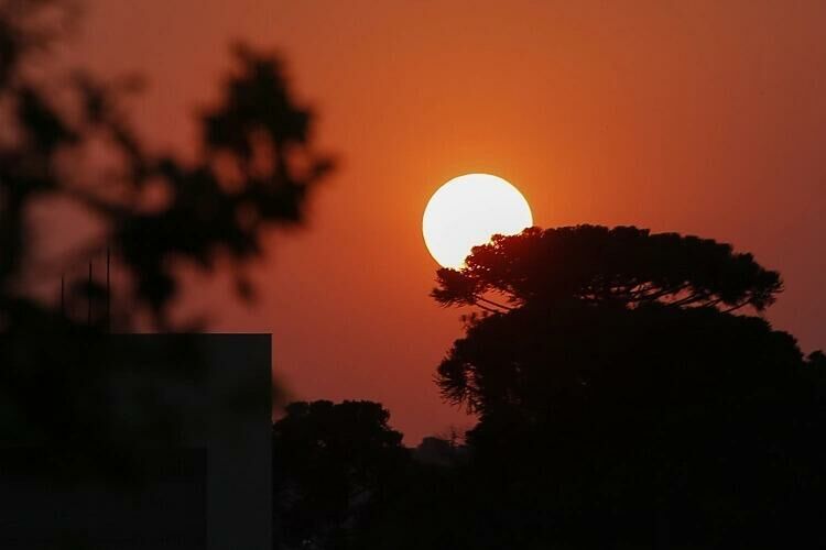 Imagem de compartilhamento para o artigo Calor predomina em Costa Rica, Cassilândia e Chapadão do Sul; não chove da MS Todo dia