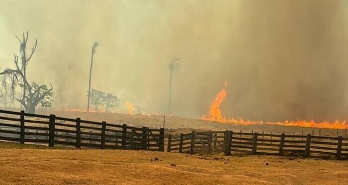 Imagem de compartilhamento para o artigo Incêndios destroem 3 mil hectares na zona rural de Camapuã e mobilizam comunidade da MS Todo dia