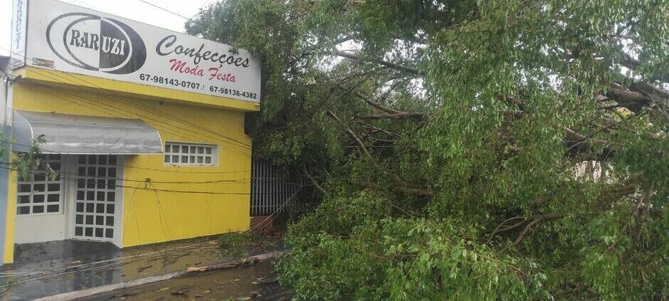 Imagem de compartilhamento para o artigo Vídeo: Tempestade deixa rastro de destruição em Cassilândia da MS Todo dia