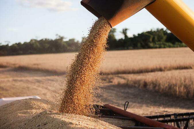 Imagem de compartilhamento para o artigo Produção da soja em Mato Grosso do Sul tem queda de 21% da MS Todo dia