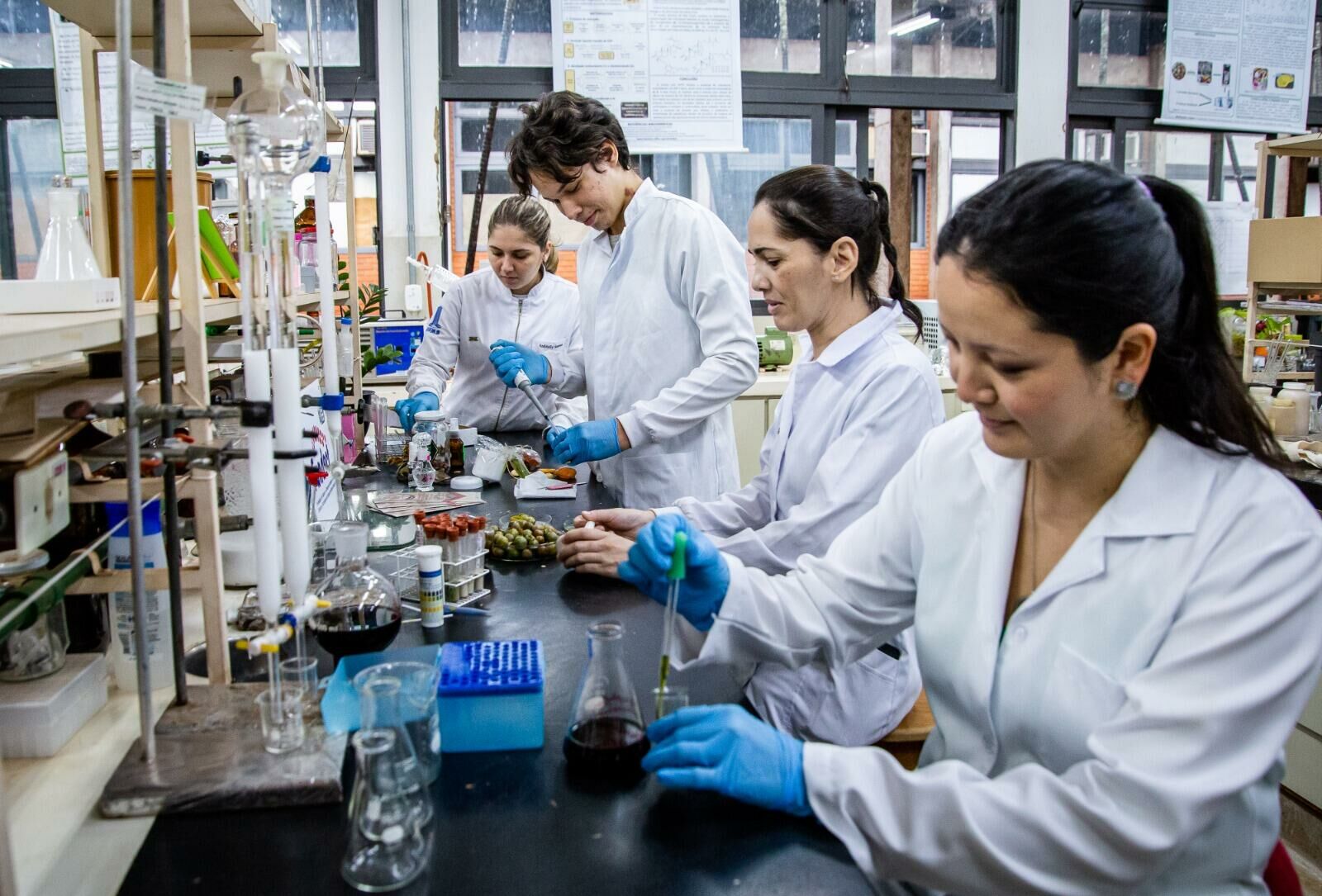 Imagem de compartilhamento para o artigo Fundect oferece 600 bolsas de Iniciação Científica e Tecnológica para estudantes de MS da MS Todo dia