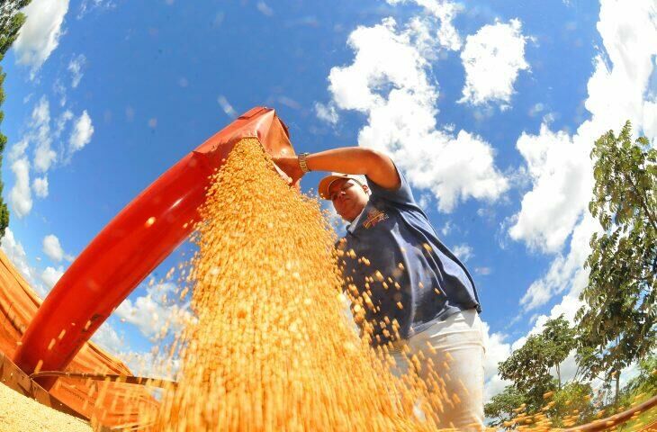 Imagem de compartilhamento para o artigo Balança comercial de MS tem superávit com saldo de US$ 2,9 bilhões no ano da MS Todo dia