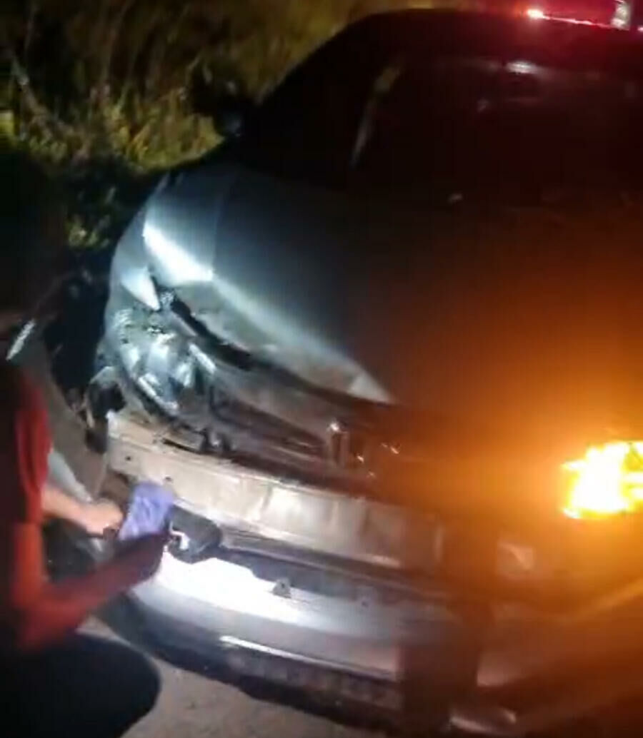 Imagem de compartilhamento para o artigo Morador de Paraíso das Águas se envolve em colisão com anta na BR-060 e escapa ileso da MS Todo dia