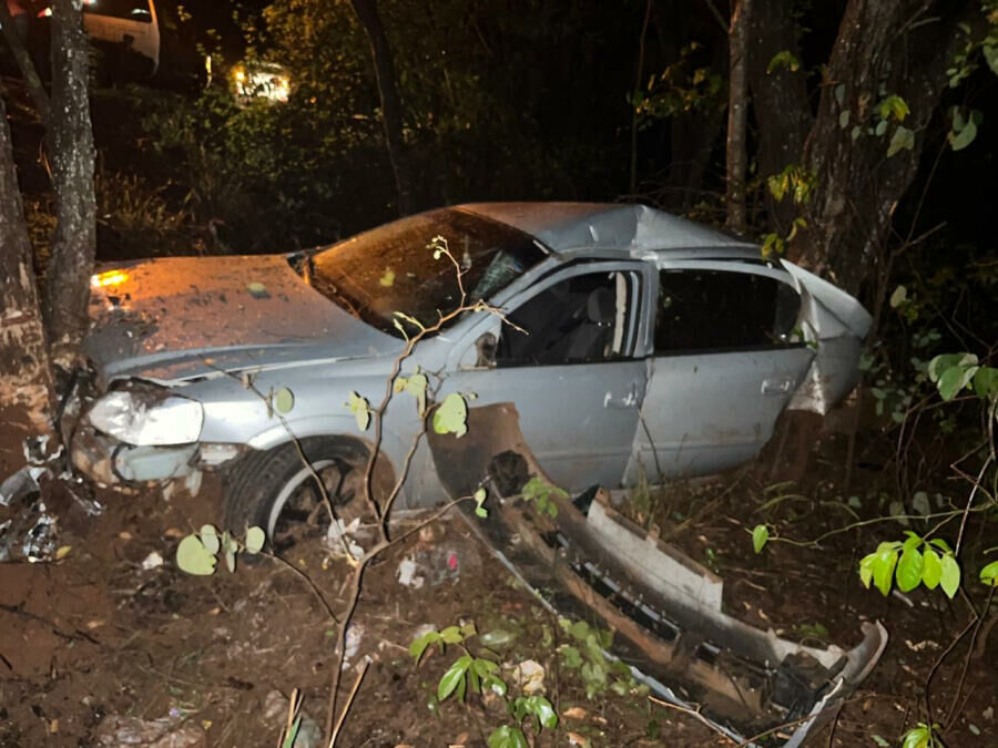 Imagem de compartilhamento para o artigo Carro fica destruído após bater com capivaras e cair em ribanceira em Paraíso das Águas da MS Todo dia