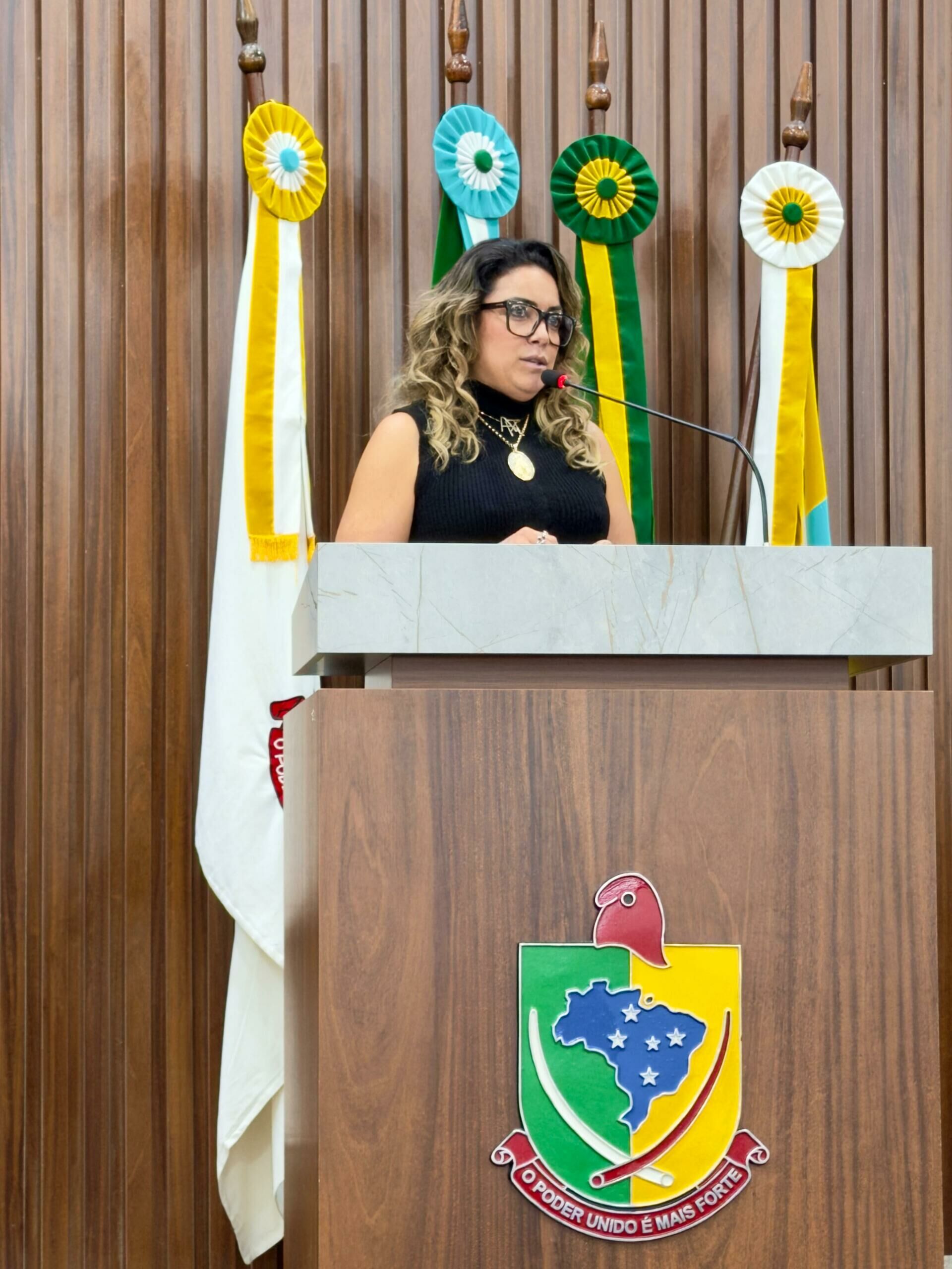 Imagem de compartilhamento para o artigo Vereadora Alline Tontini cobra reformas, atenção à educação e aponta falhas na infraestrutura em Chapadão do Sul da MS Todo dia