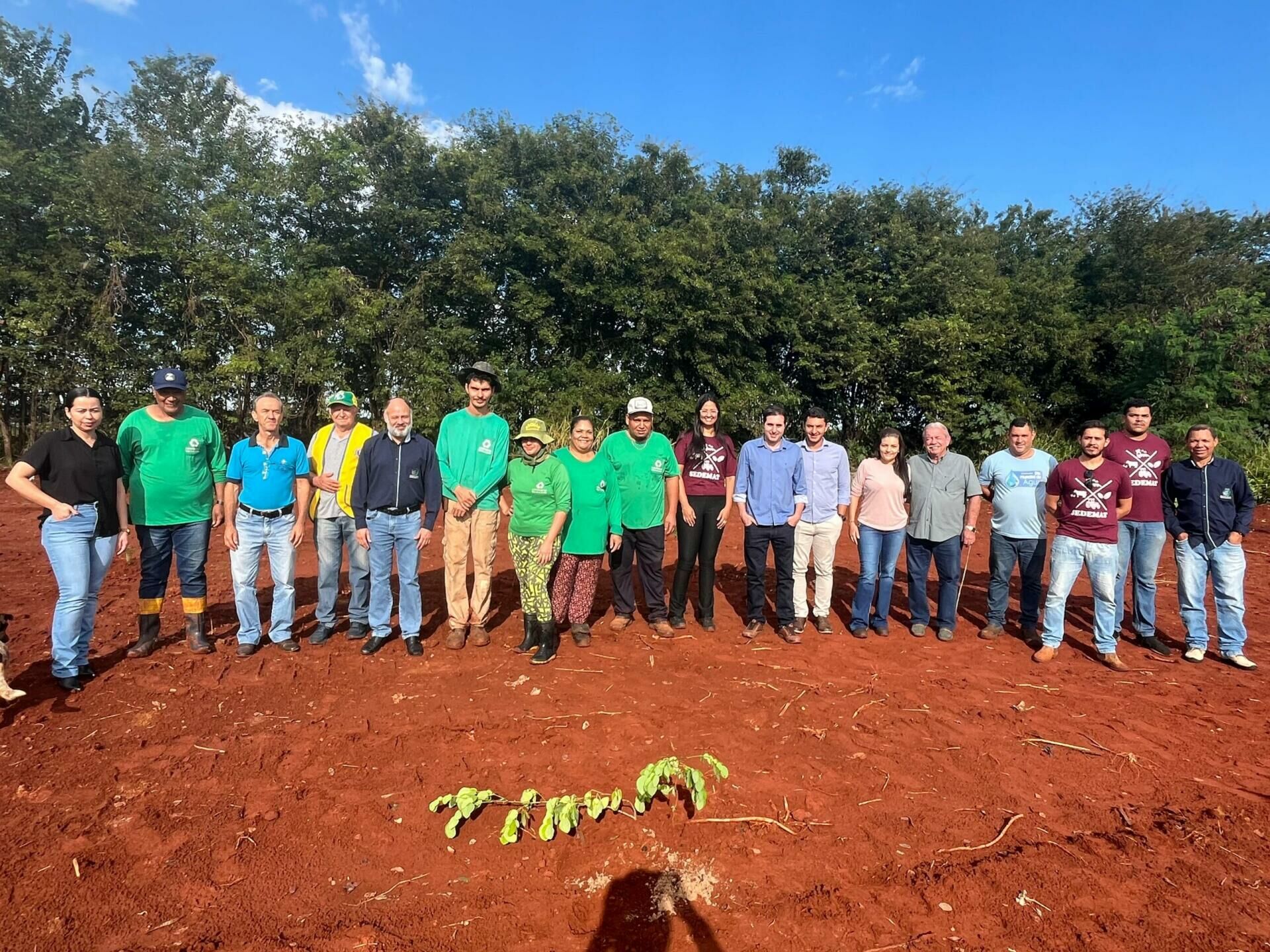 Imagem de compartilhamento para o artigo Paraíso das Águas inicia plantio de mil mudas nativas durante a Semana do Meio Ambiente da MS Todo dia
