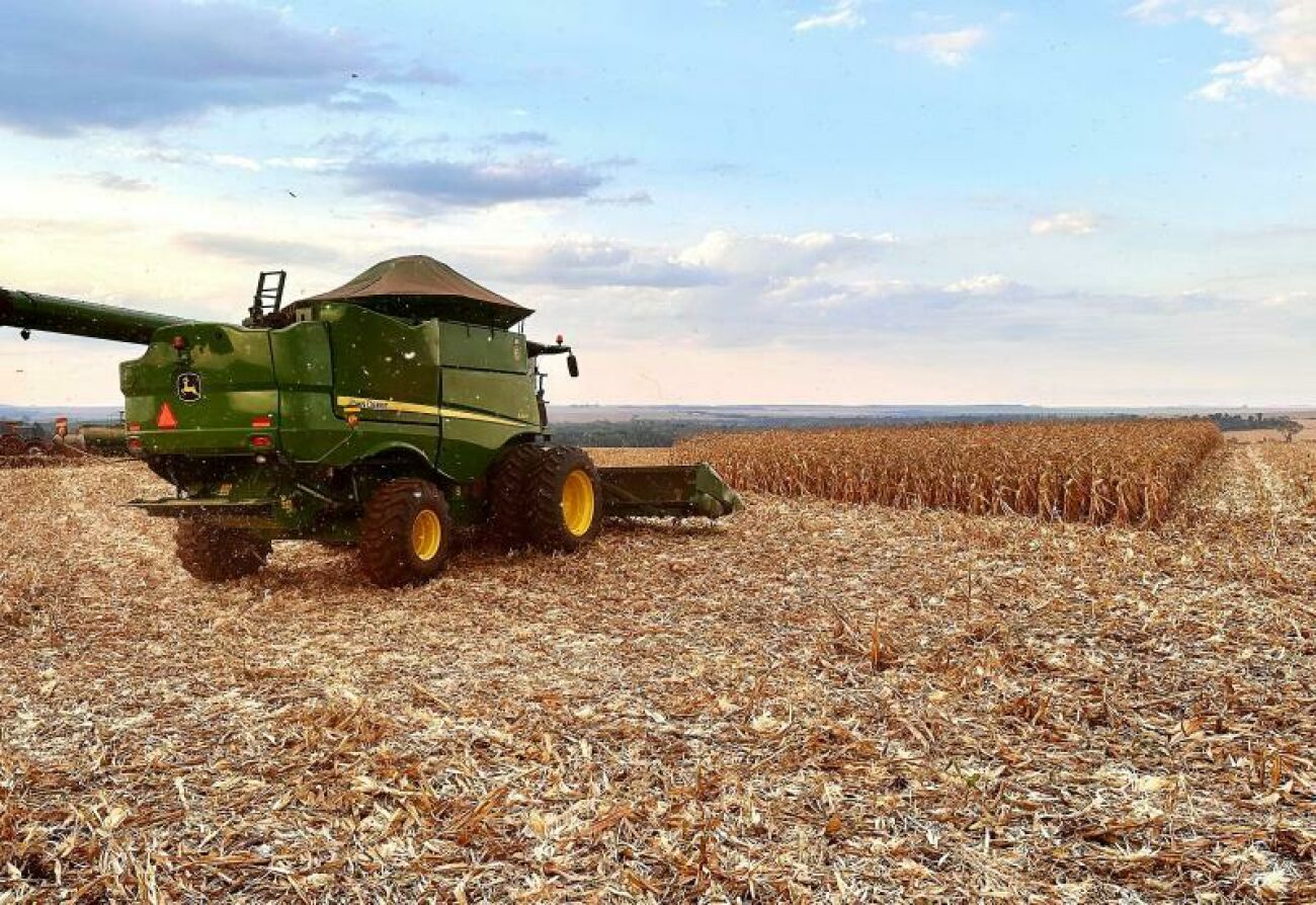 Ilustração da notícia Produção agrícola de MS cresce em julho com recuperação da soja e milho, apesar da estiagem da MS Todo dia