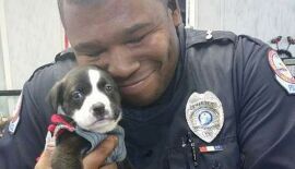 Imagem da notícia Policial resgata cachorrinho minúsculo após responder chamada de socorro e se apaixona por ele