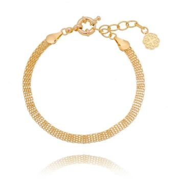 Imagem do produto PULSEIRA MALHA TRANÇADA