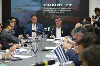 Imagem da notícia Riedel esclarece dúvidas e apresenta aos deputados vantagens sobre Rota da Celulose