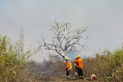 Imagem da notícia Bombeiros intensificam combate aos incêndios no Pantanal