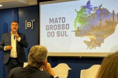 Imagem da notícia Riedel vai a SP apresentar Rota da Celulose a empresários