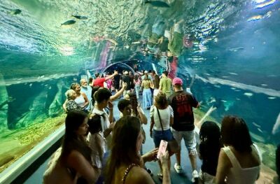 Imagem da notícia Aquário bate recorde de visitantes e consolida Capital como novo destino turístico nacional; Veja como visitar