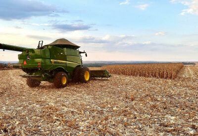 Imagem da notícia Mais de 300 mil hectares de milho já foram colhidos no Estado