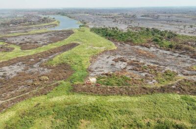 Imagem da notícia Proprietários rurais do Pantanal terão crédito especial para recuperação após incêndios