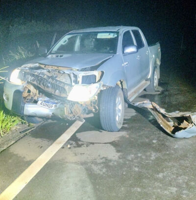 Imagem da notícia Caminhonete atinge anta em rodovia e família escapa sem ferimentos em Paraíso das Águas