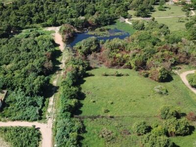 Imagem da notícia Ministério Público investiga crimes ambientais no Parque Zoobotânico de Coxim e nas margens do Rio Taquari