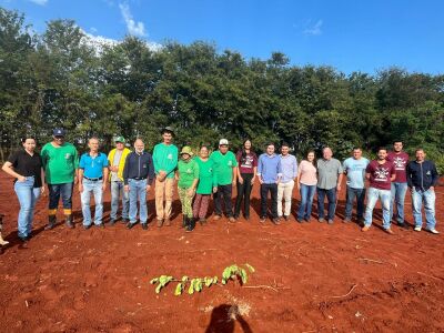 Imagem da notícia Paraíso das Águas inicia plantio de mil mudas nativas durante a Semana do Meio Ambiente