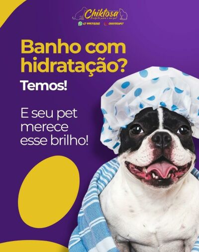 Imagem da notícia Pelagem saudável e sem nós? Petshop Chiktosa oferece hidratação com linha premium para beleza e saúde do seu pet