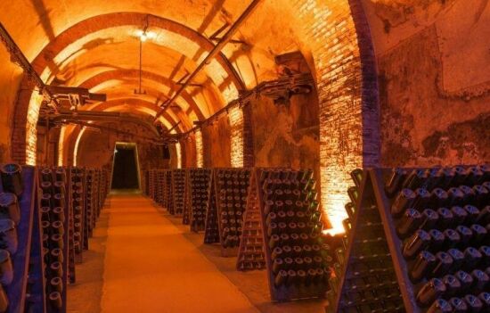 Imagem de Rota do Champagne: visitas de caves e degustação