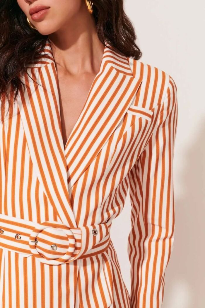 Imagem de Blazer Matilde Estampa Listra Le Blog