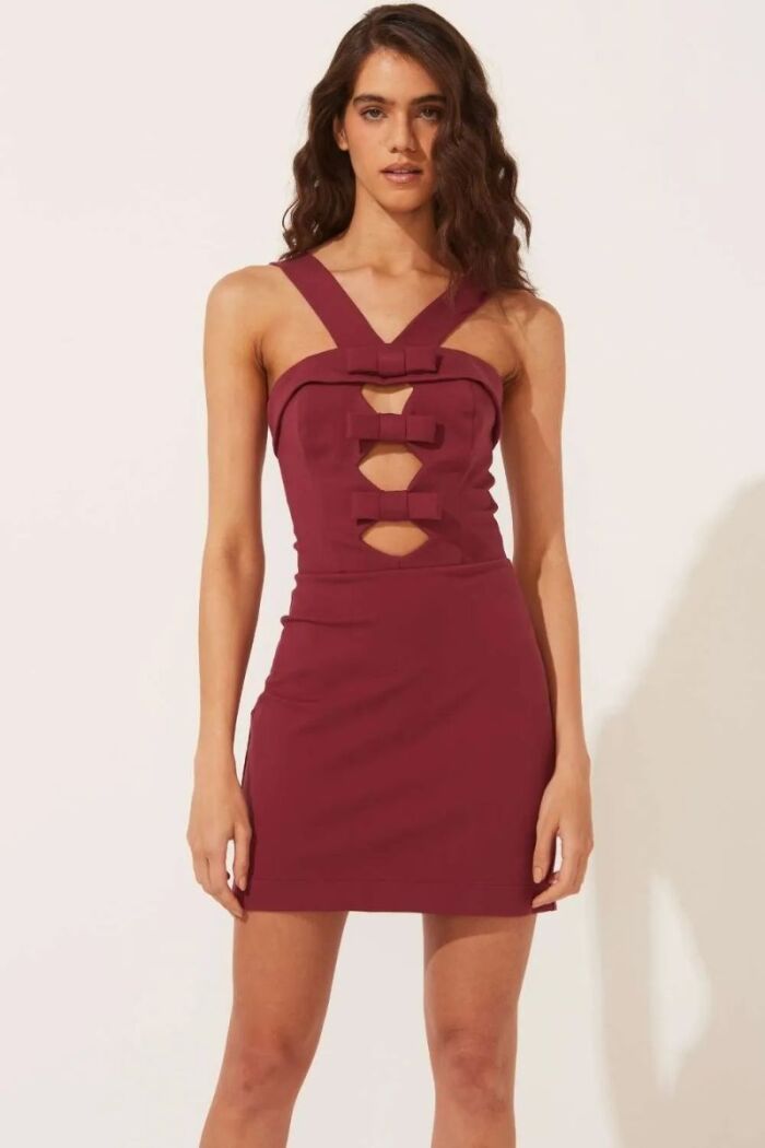 Imagem de Vestido Sasha Vermelho Cabernet Le Blog