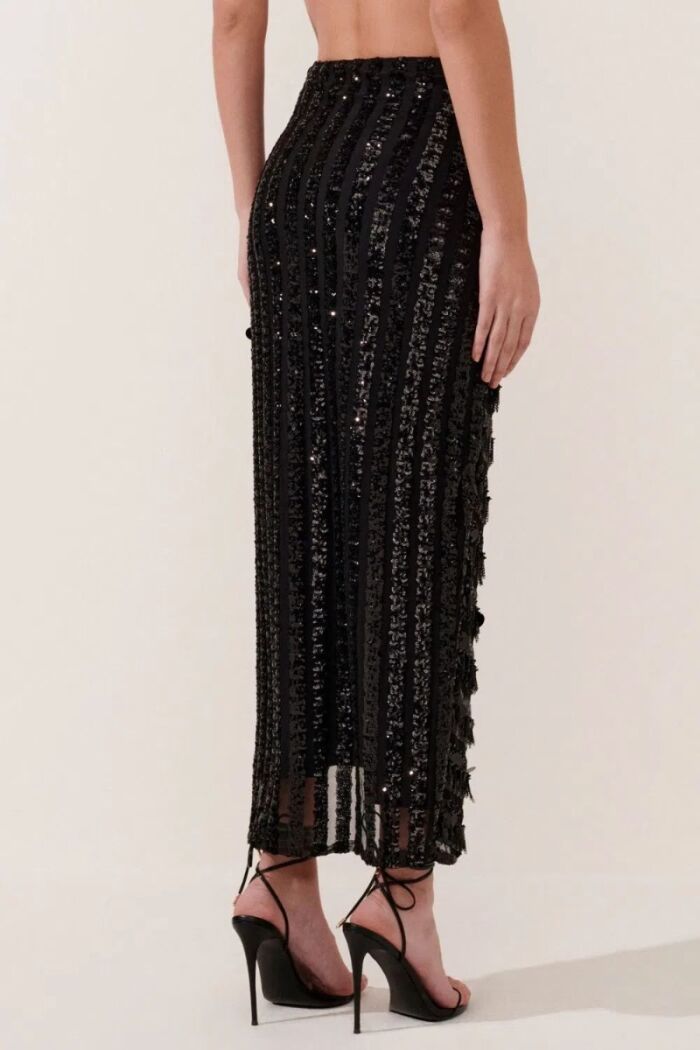 Imagem de Saia Celine Le Blog