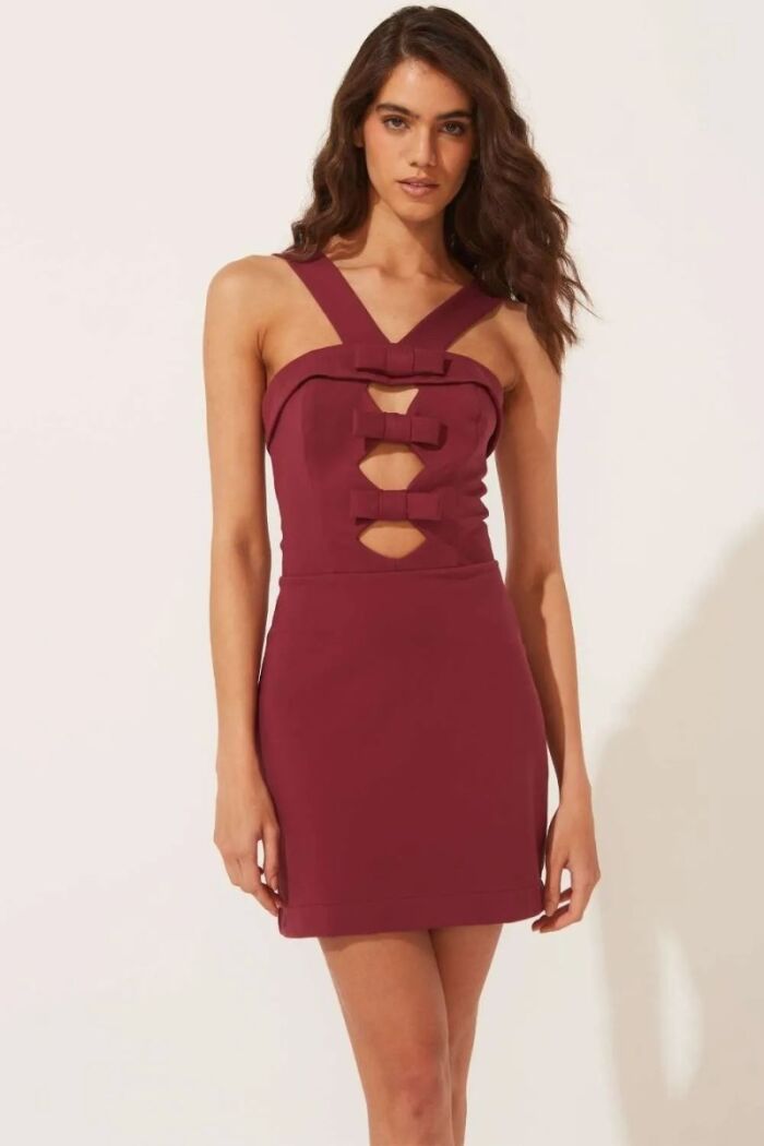 Imagem de Vestido Sasha Vermelho Cabernet Le Blog