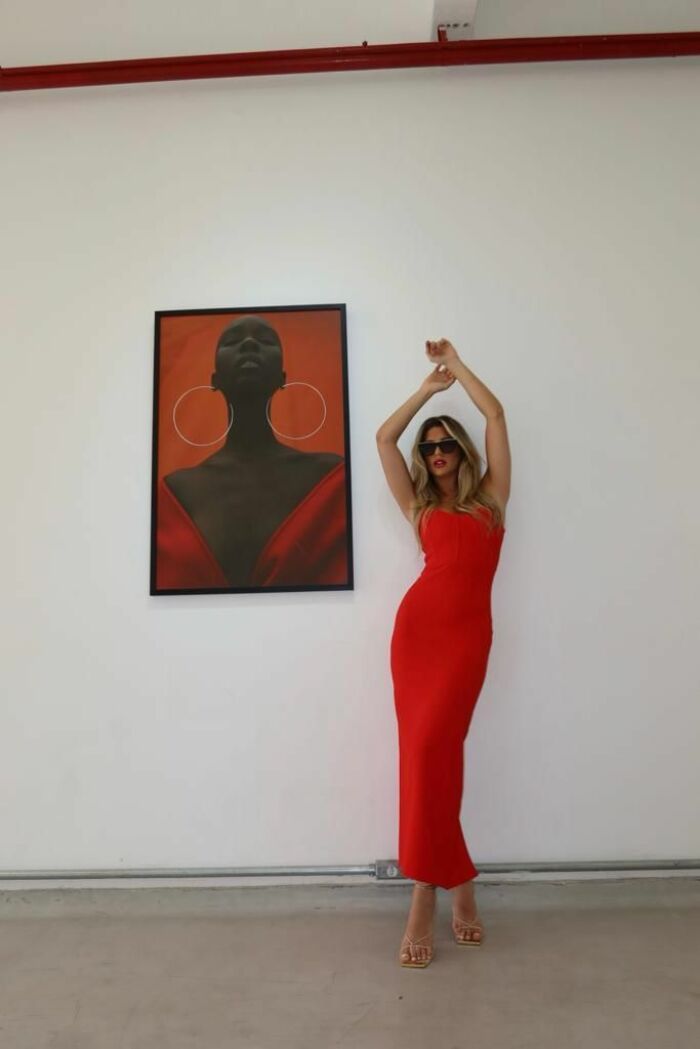 Imagem de Vestido Thalia Cloude