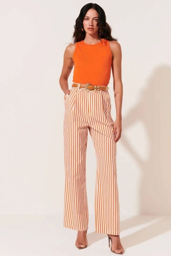 Imagem de Calça Matilde Estampa Listra Le Blog