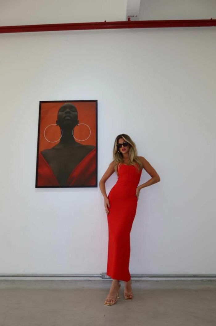 Imagem de Vestido Thalia Cloude