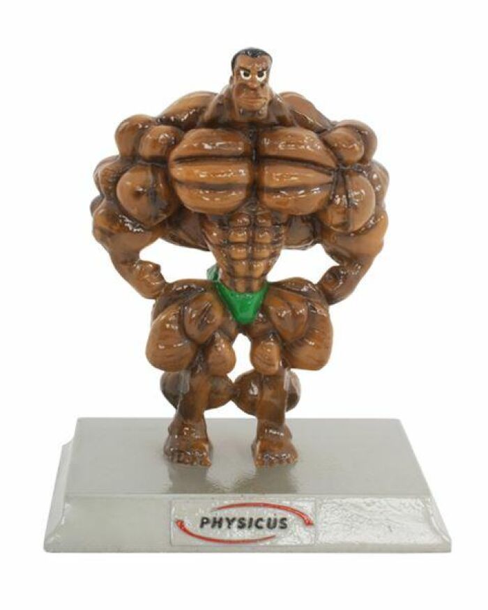 Imagem de Boneco Physikinho - PHQ07